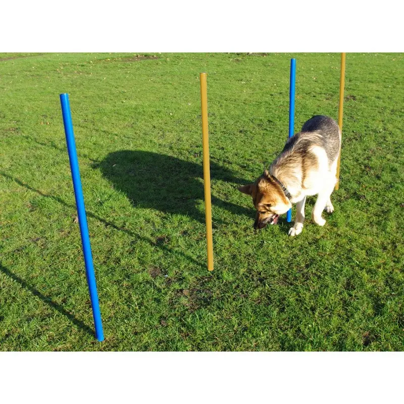 5-Piece Dog Agility Slalom Pole Set by Pet Brands