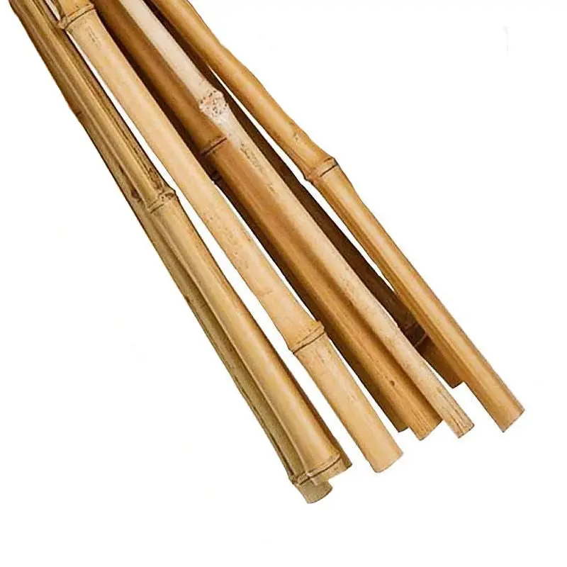 8-Pack of 7-Foot Reinforced Garden Canes