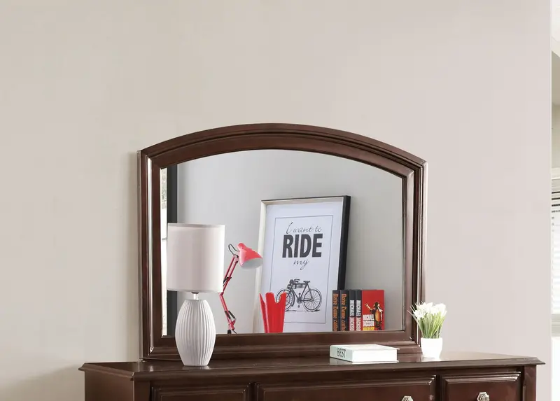 Ashford Rectangular Wall Mirror in Cappuccino Wood Tone