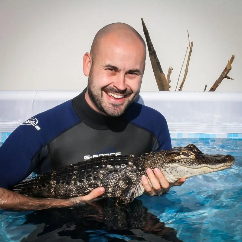 Crocodile Swim Encounter & Gourmet Lunch – Unique Wildlife Experience for Two