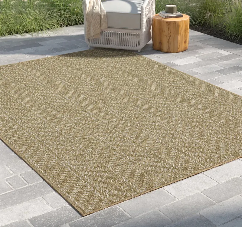 Earth Flatweave Indoor Outdoor Area Rug