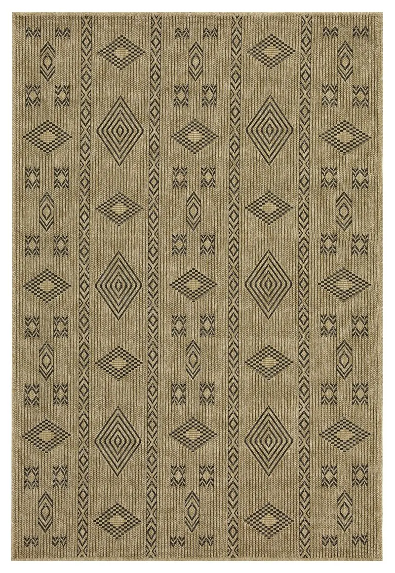 Earth Medium Indoor Outdoor Rug – Jute and Black