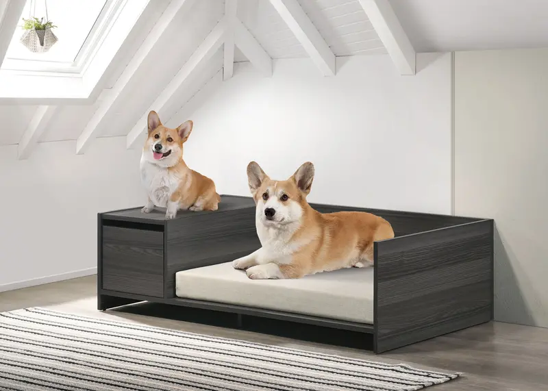 Esme Pet Bed with Removable Cushion & Side Storage – Ash Gray