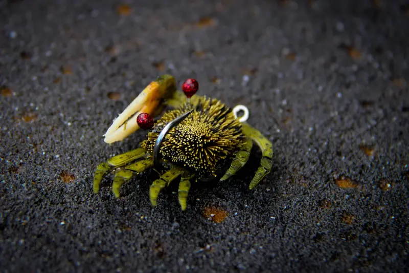 Flats Craft Fiddler Crab Saltwater Fly Pattern