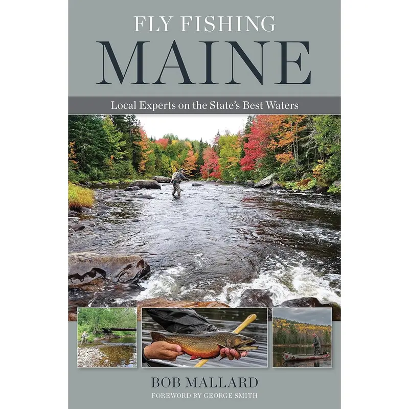 Fly Fishing Maine – Expert Insights on Prime Waters by Bob Mallard