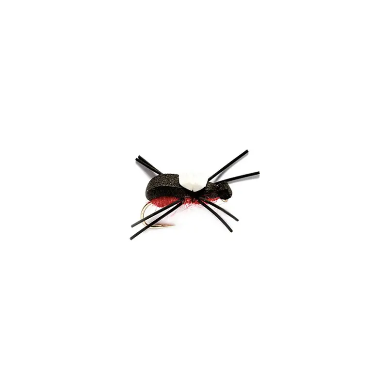 Fulling Mill Bank Beetle Terrestrial Fly