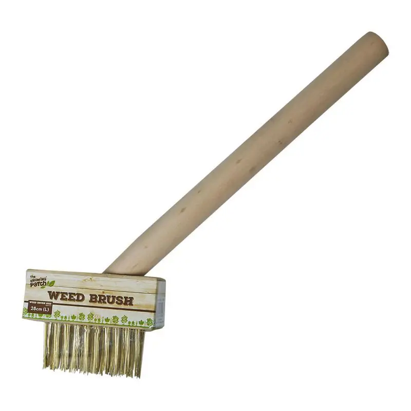 Growing Patch 28cm Weed Brush for Patio, Driveway, and Garden Maintenance