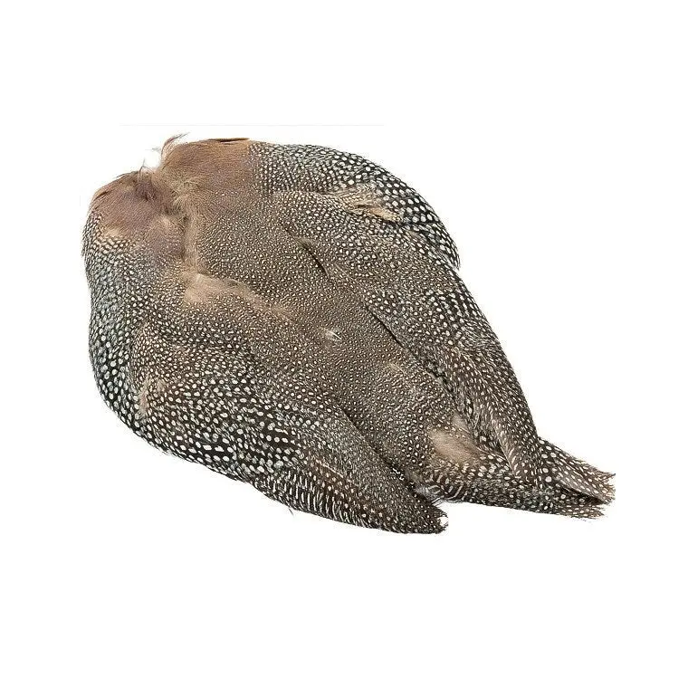 Guinea Fowl Feather Skin for Fly Tying