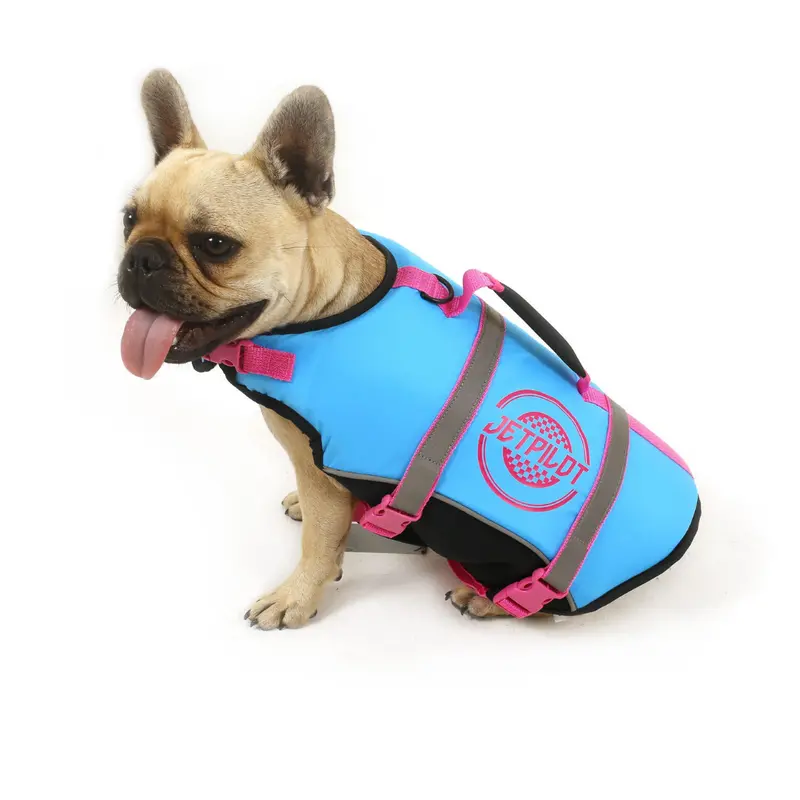 Jetpilot Dog Life Vest – Buoyant, Adjustable Pet Safety Vest for Water Adventures