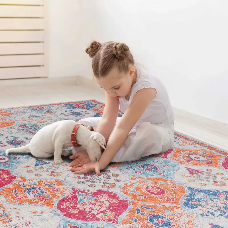 Maval Premium Washable Area Rug