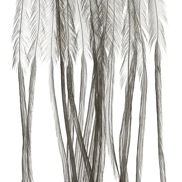 MFC Whiting 100-Pack Light Dun Hackle