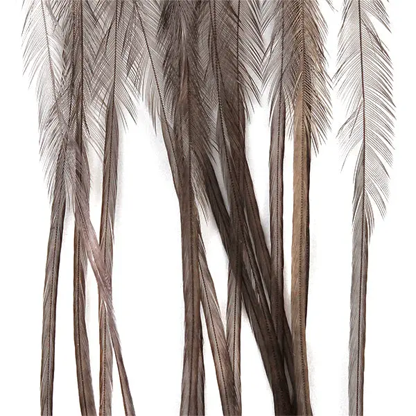 MFC Whiting 100-Pack Medium Dun Hackle
