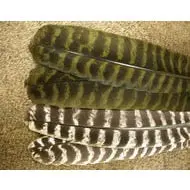 Nature’s Spirit Ozark Barred Turkey Quill Sections