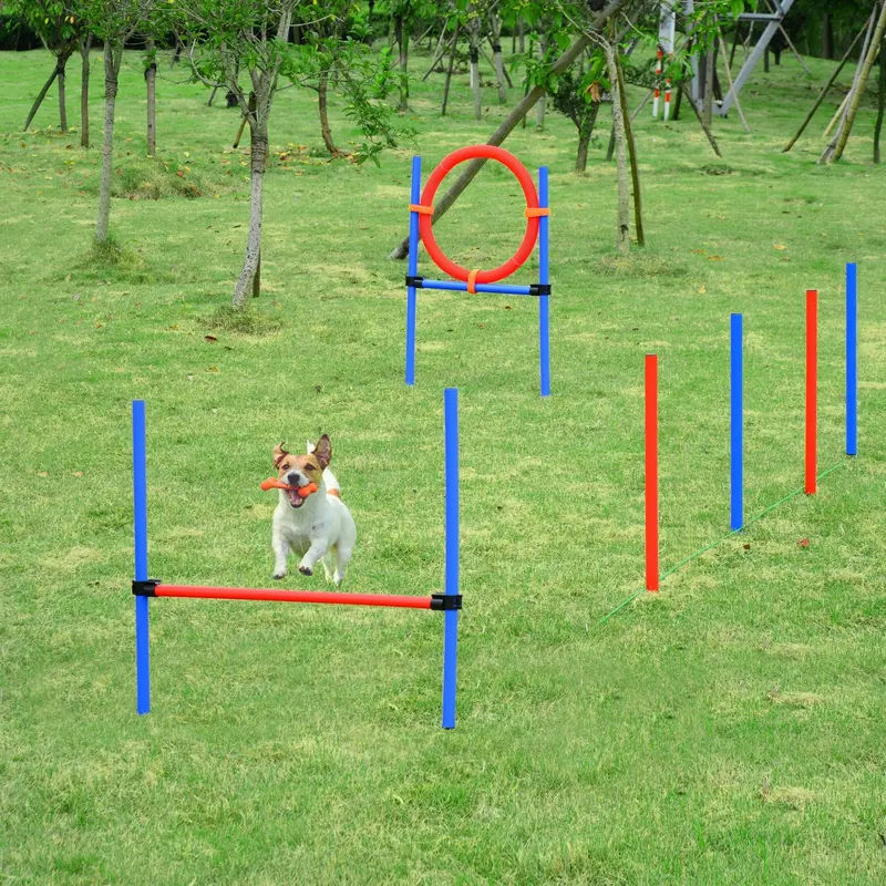 PawHut Adjustable Pet Agility Training Kit for Puppies and Dogs