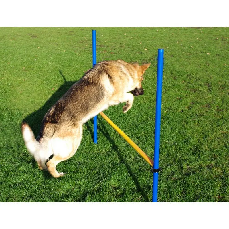 Pet Brands Adjustable Dog Agility Hurdle Jump