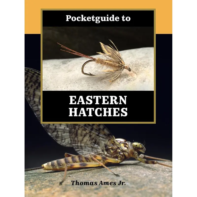 Pocket Guide to Eastern Mayfly Hatches by Thomas Ames Jr.