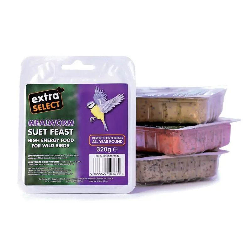 Premium Mealworm Suet Blocks for Wild Birds