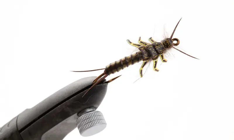ProSportfisher Stonefly Nymph Kit – Clearance Item
