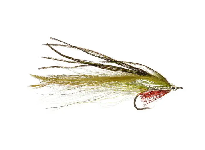 Rainy’s Murphy Albie Fly Saltwater Pattern