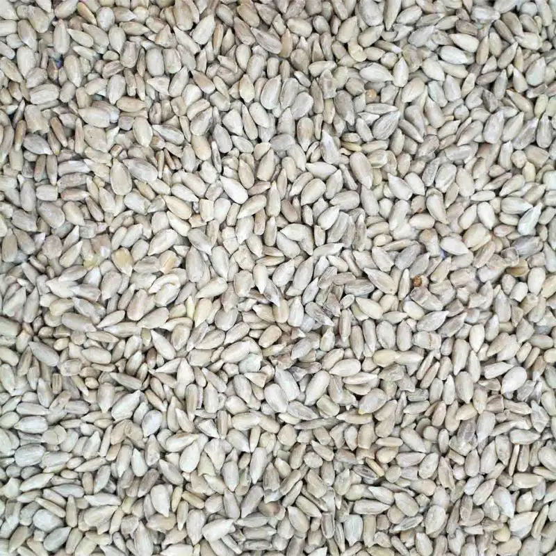 Sunflower Hearts Wild Bird Food – 12.55 kg Bag for Attracting Finches and Siskins