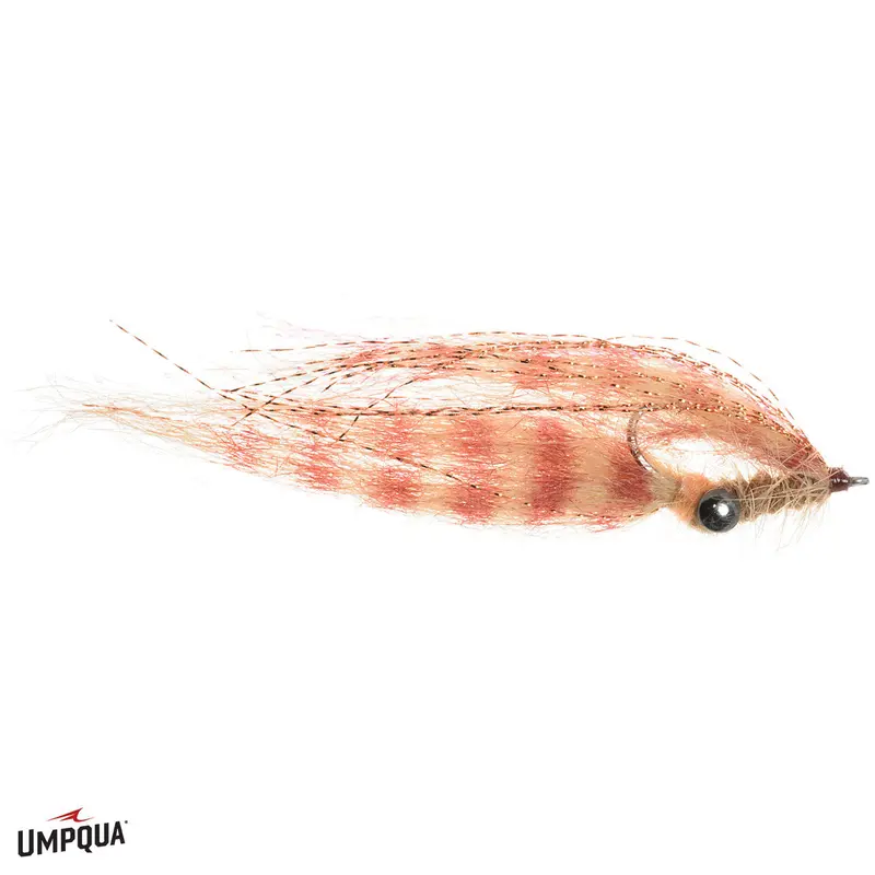 Umpqua Bauer Crafty Shrimp Pattern