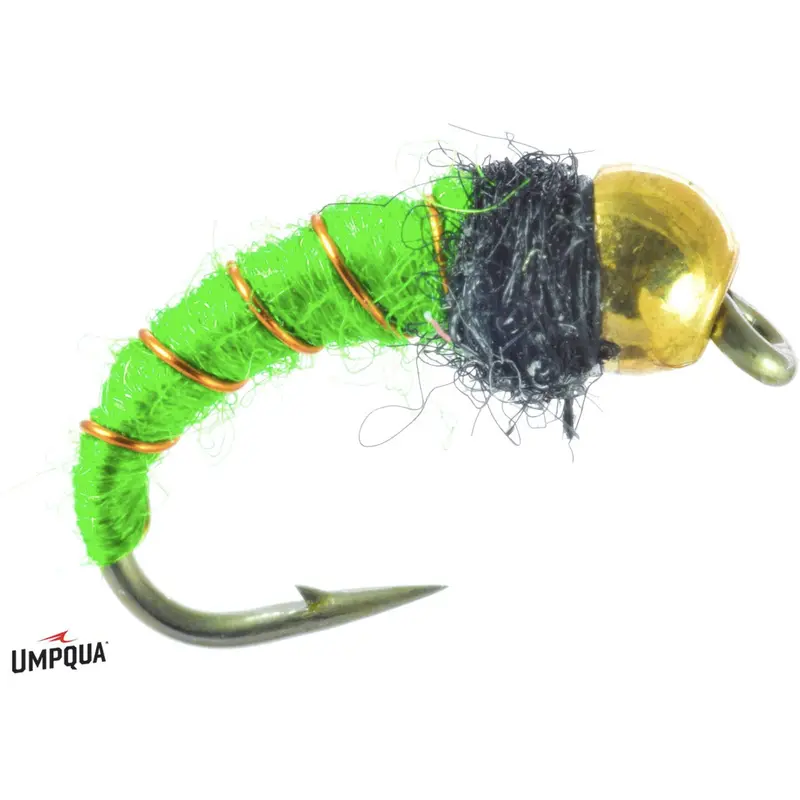 Umpqua Bead-Head Caddis Larva Fly