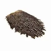 Wapsi Metz Grizzly Hen Saddle Feathers