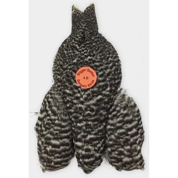 Whiting Farms 4 B’s Hen Cape – Premium Dry-Fly Feather Supply
