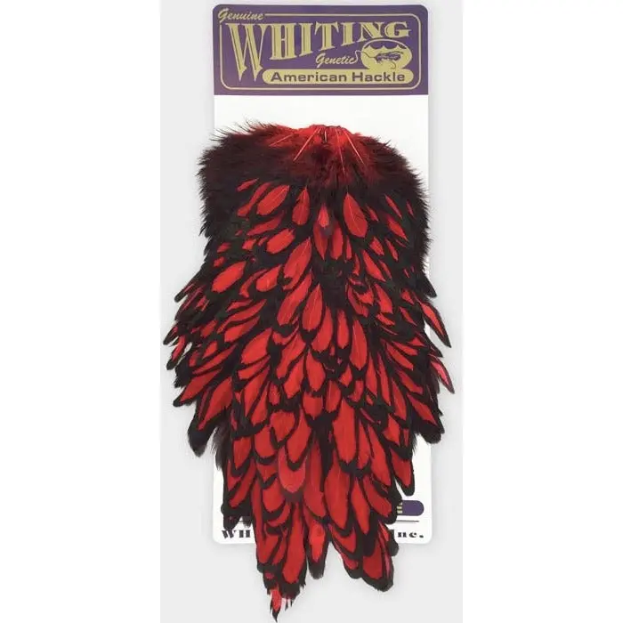 Whiting Farms American Hen Saddle Feather Pack
