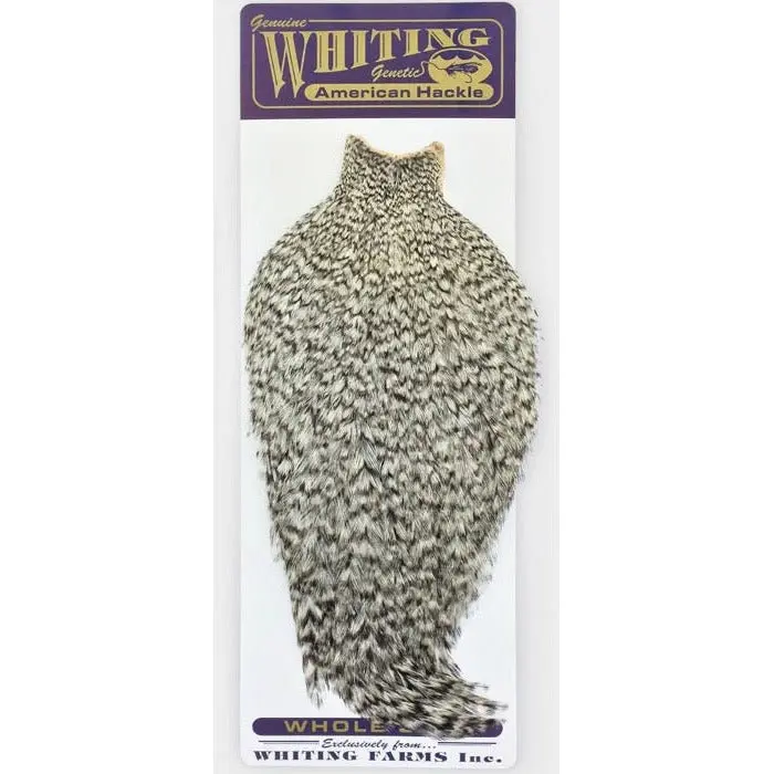 Whiting Farms American Rooster Cape Feathers