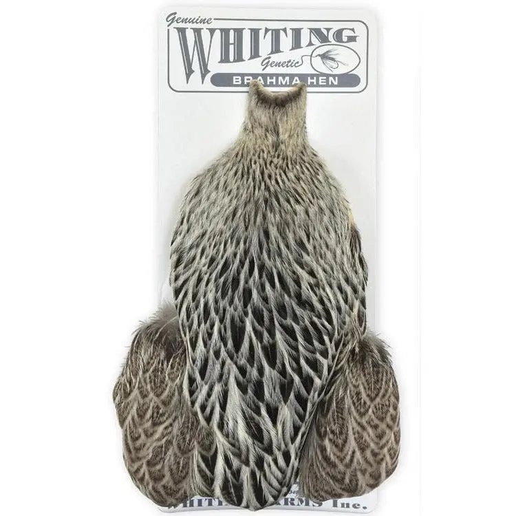 Whiting Farms Brahma Hen Cape Feathers