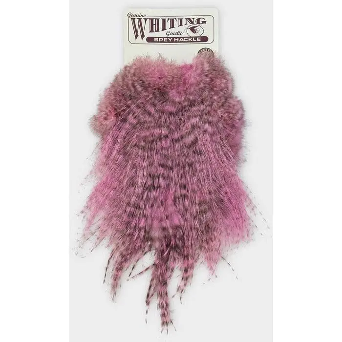 Whiting Farms Bronze Spey Hackle Saddle Feathers